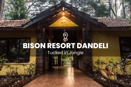 Bison River Resort